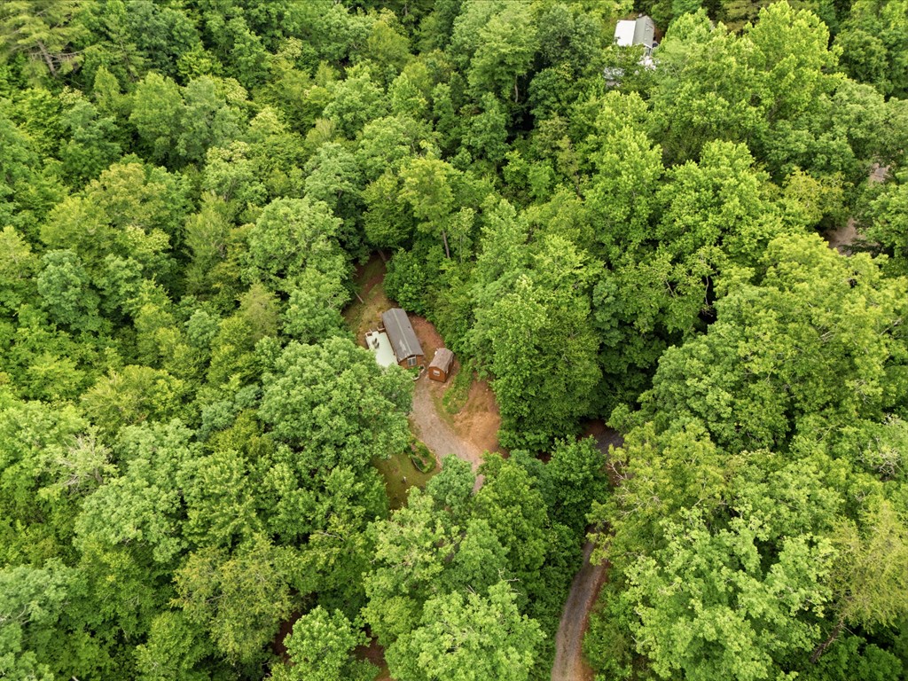 86 Pounding Mill Creek Property Photo 32