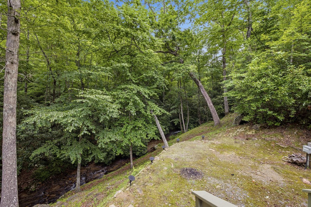 86 Pounding Mill Creek Property Photo 33