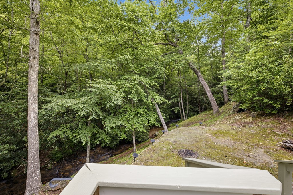 86 Pounding Mill Creek Property Photo 35