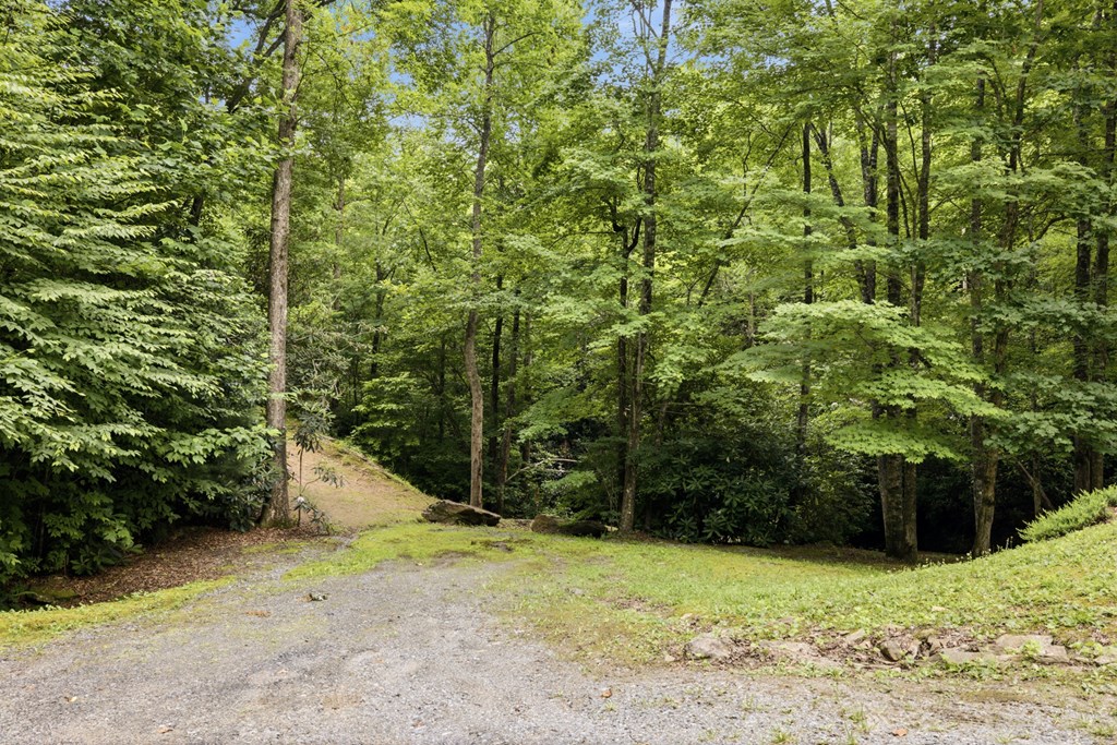 86 Pounding Mill Creek Property Photo 58