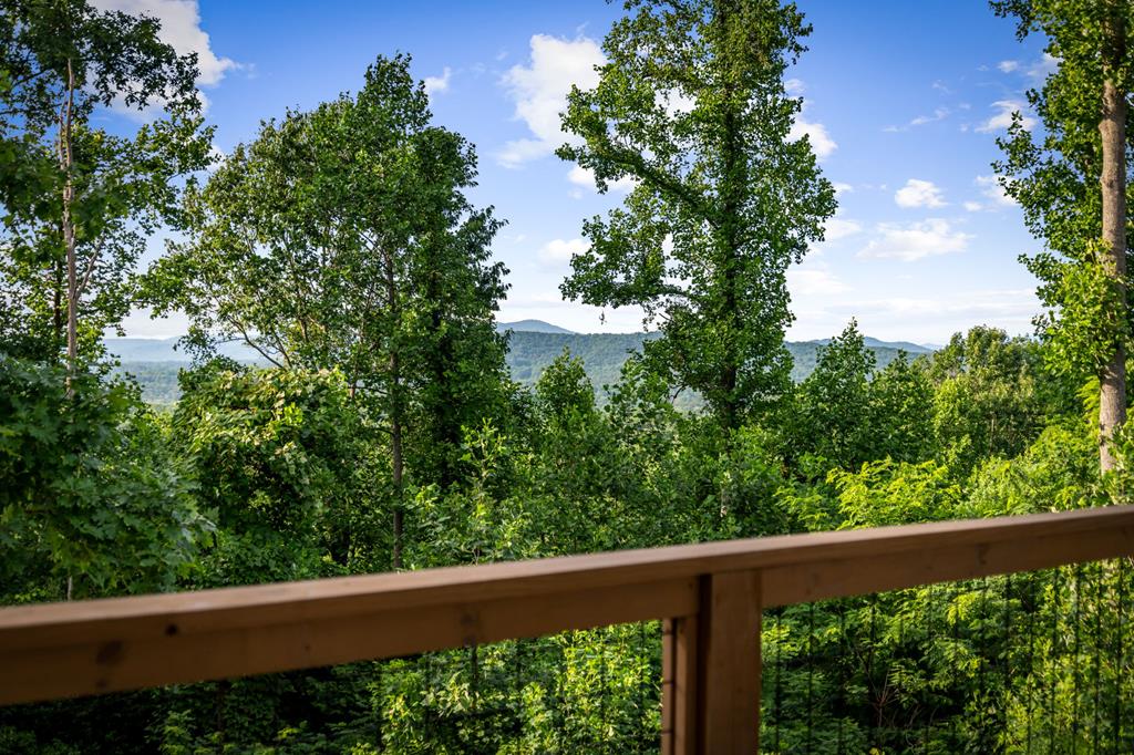 228 Winding Ridge Property Photo 97