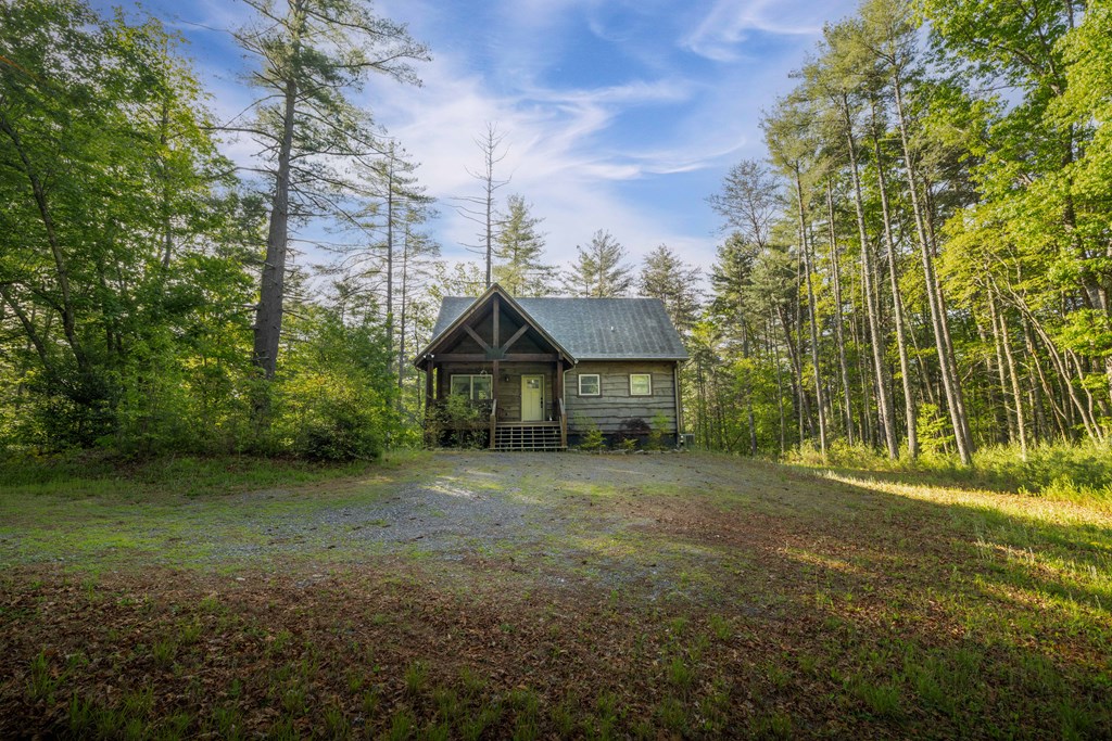 345 Deer Trail Property Photo 13