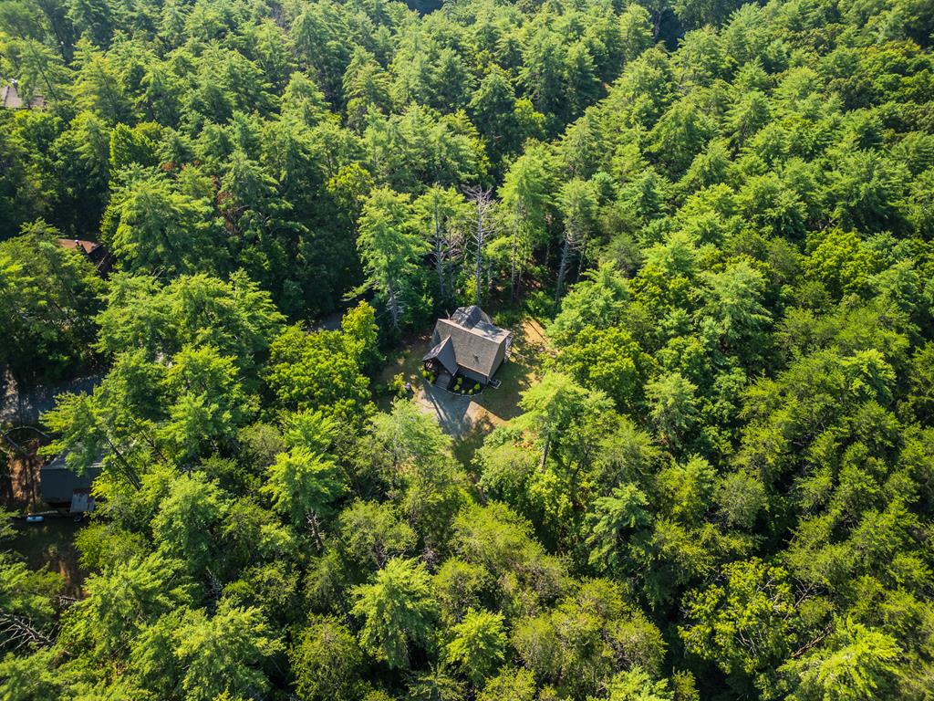345 Deer Trail Property Photo 34