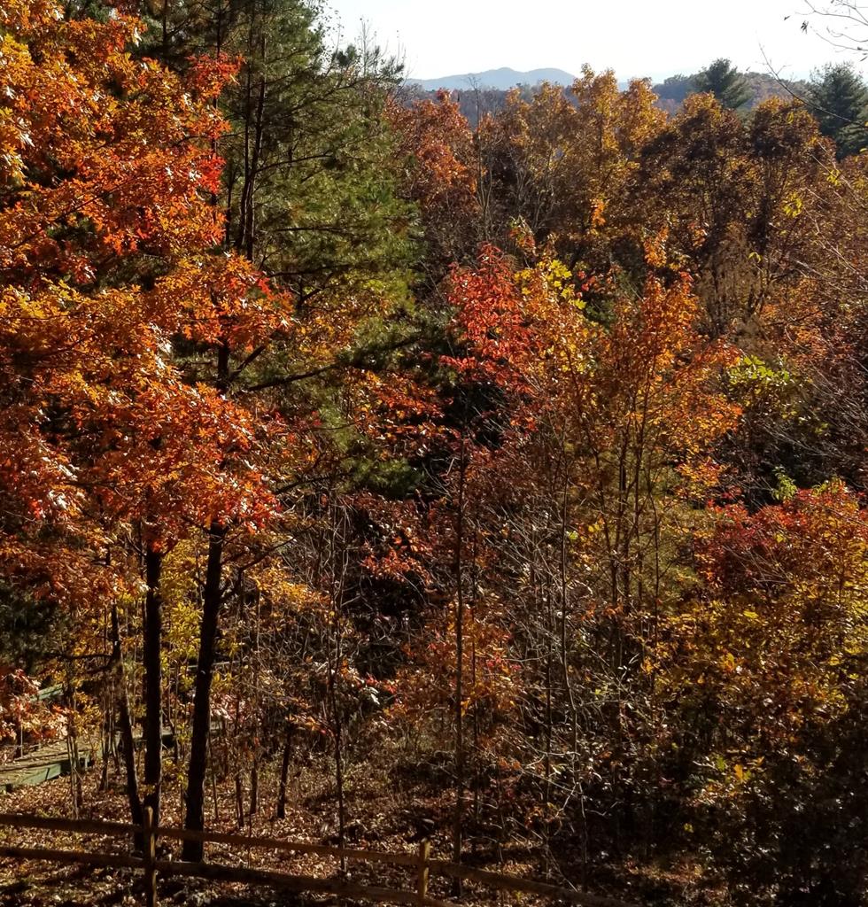88 Meadowlark Terrace Property Photo 45