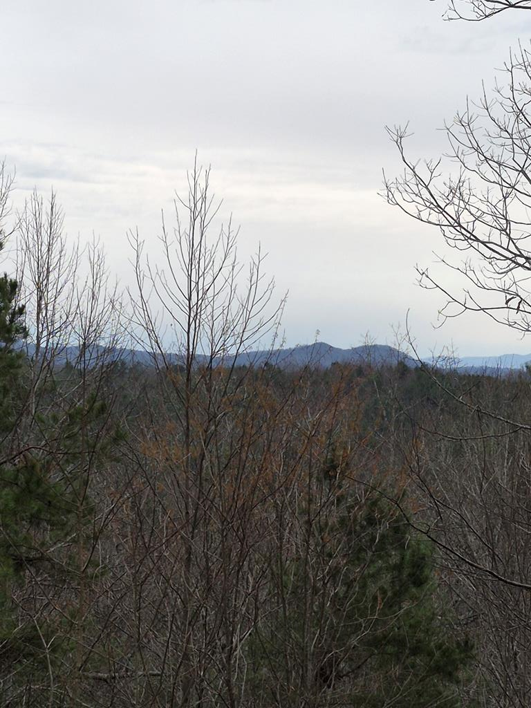 88 Meadowlark Terrace Property Photo 47