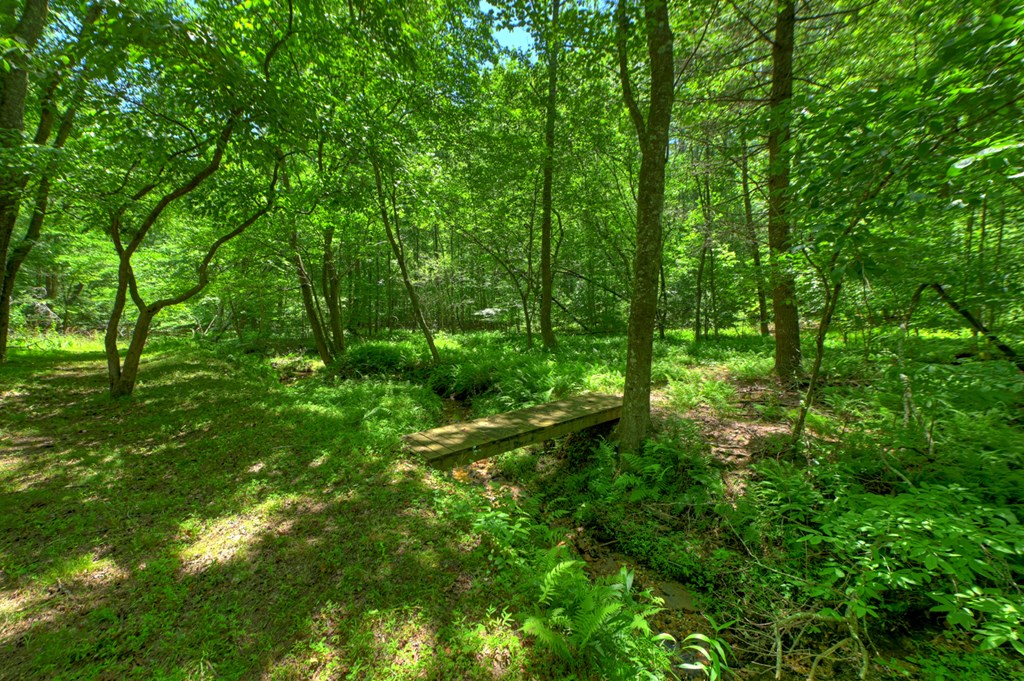 6385 Hwy 2 Property Photo 8