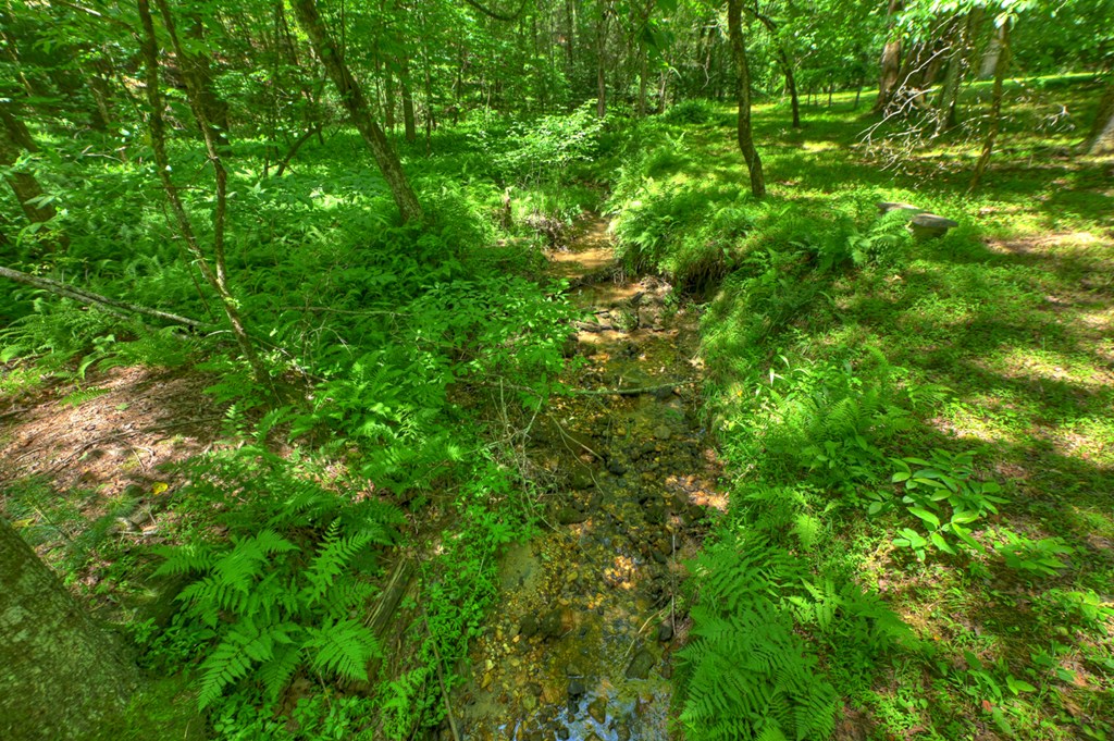 6385 Hwy 2 Property Photo 10