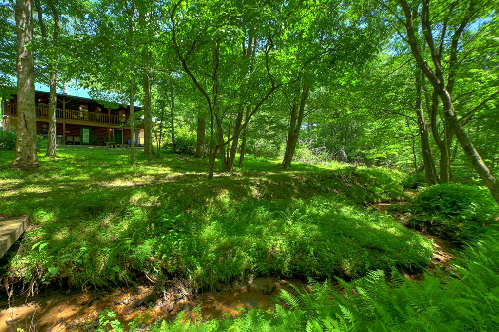6385 Hwy 2 Property Photo 11