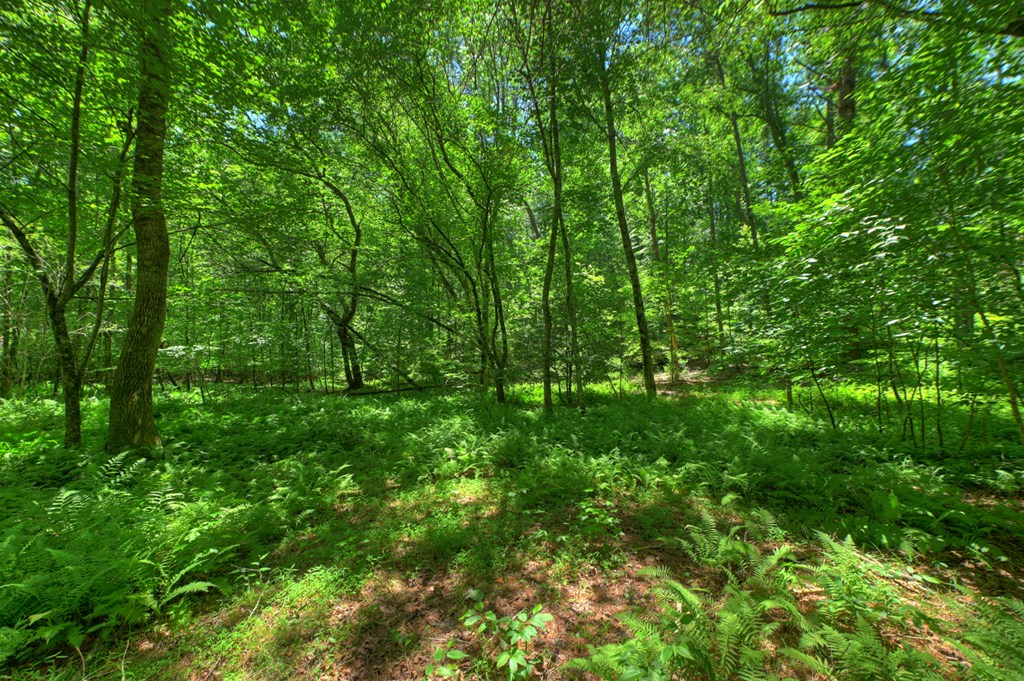 6385 Hwy 2 Property Photo 12