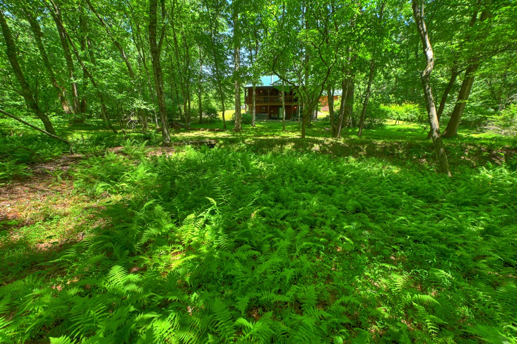 6385 Hwy 2 Property Photo 13
