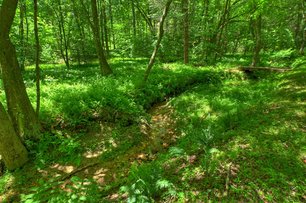 6385 Hwy 2 Property Photo 14