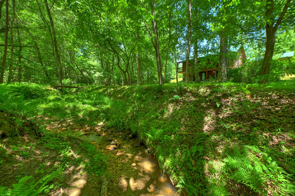 6385 Hwy 2 Property Photo 15