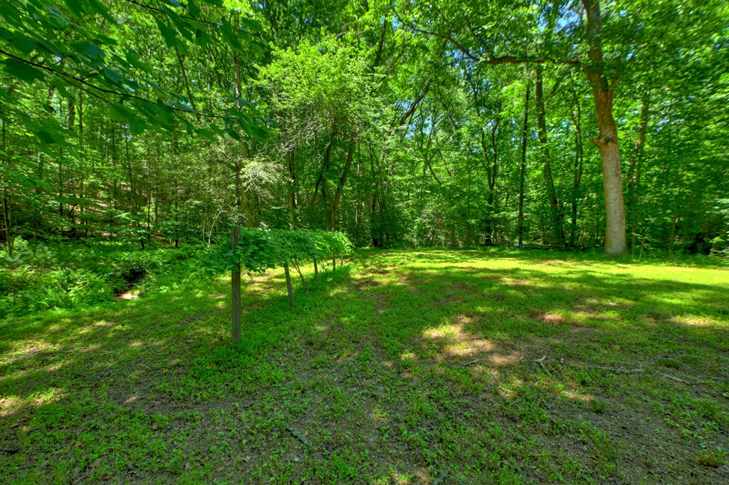 6385 Hwy 2 Property Photo 16