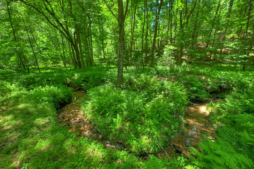 6385 Hwy 2 Property Photo 17