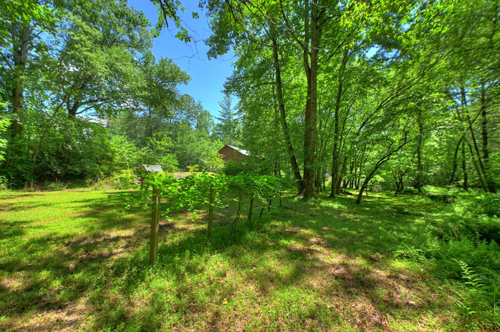 6385 Hwy 2 Property Photo 18