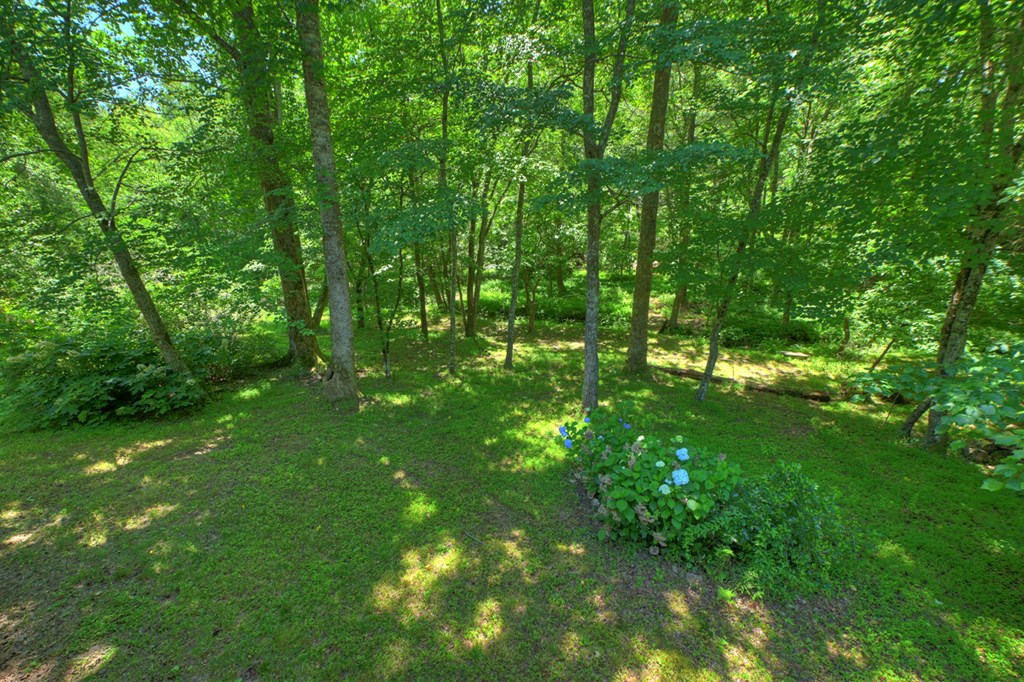6385 Hwy 2 Property Photo 22