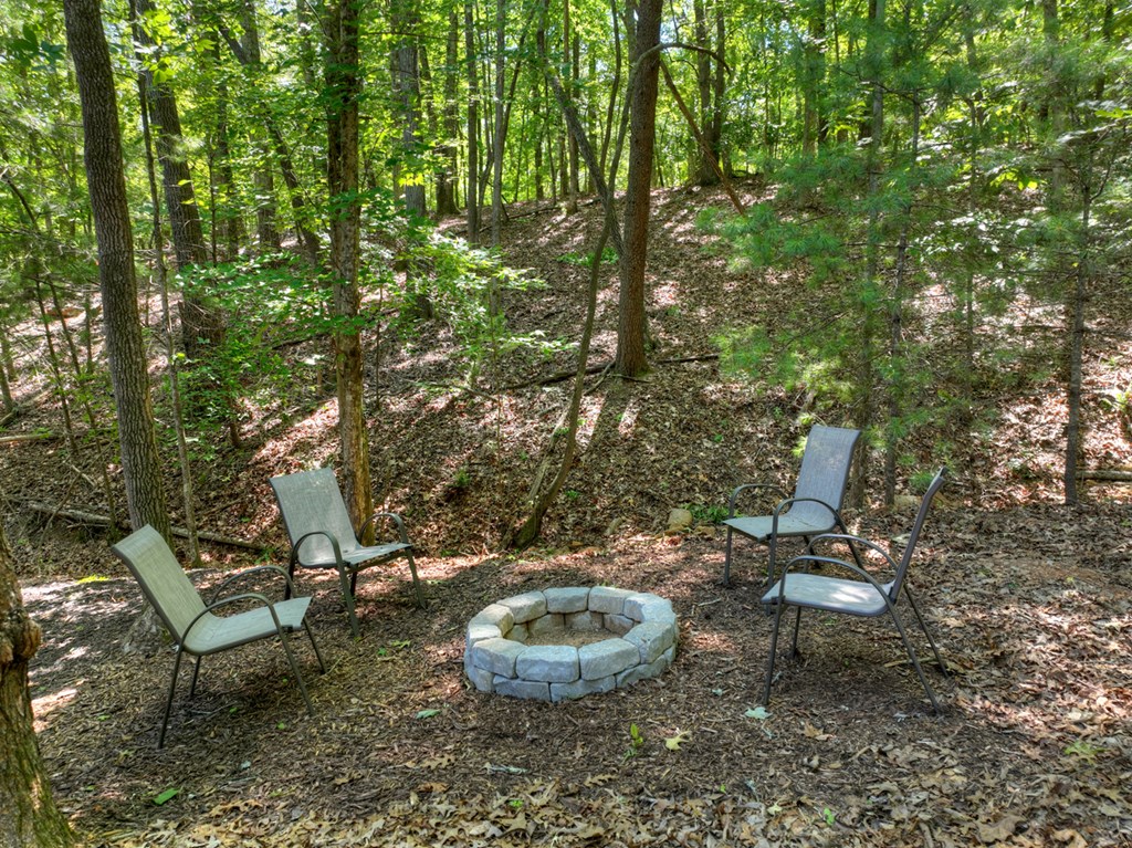 85 Duck Cove Property Photo 4