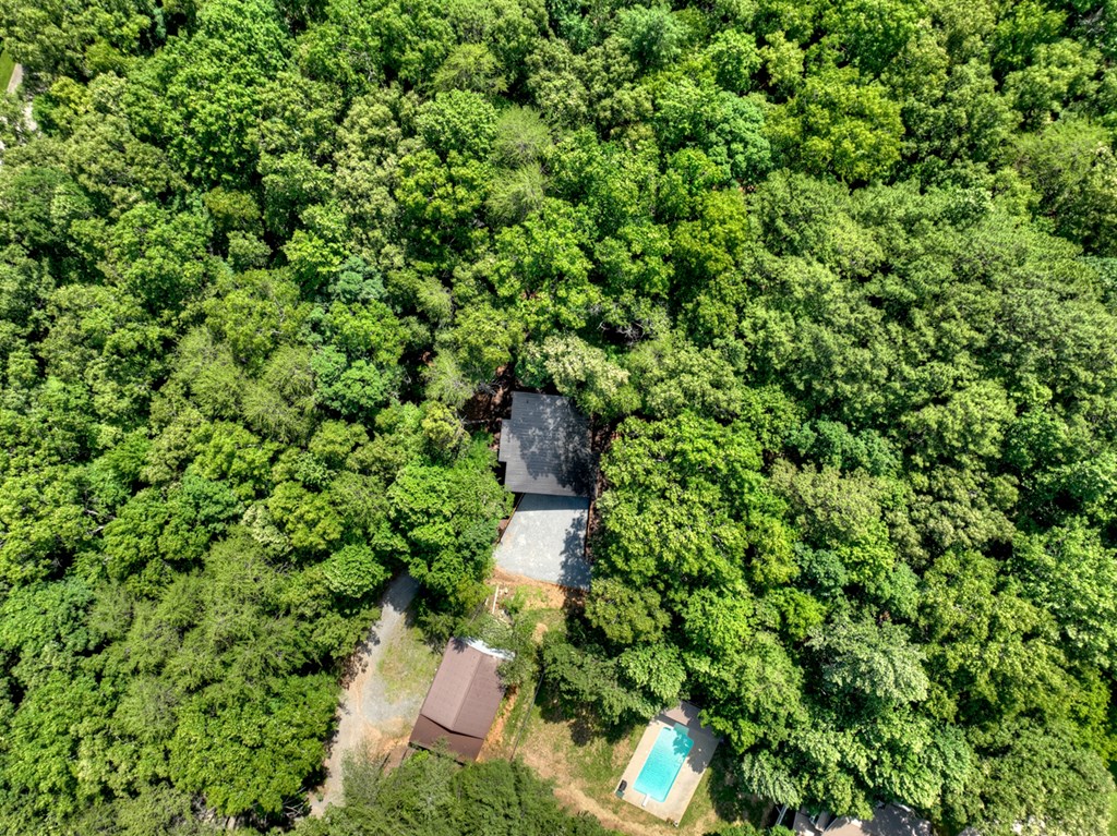 85 Duck Cove Property Photo 32