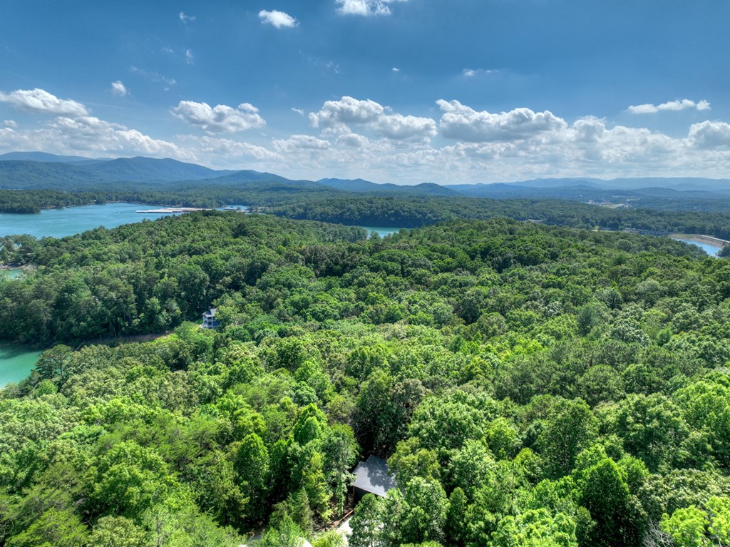85 Duck Cove Property Photo 34