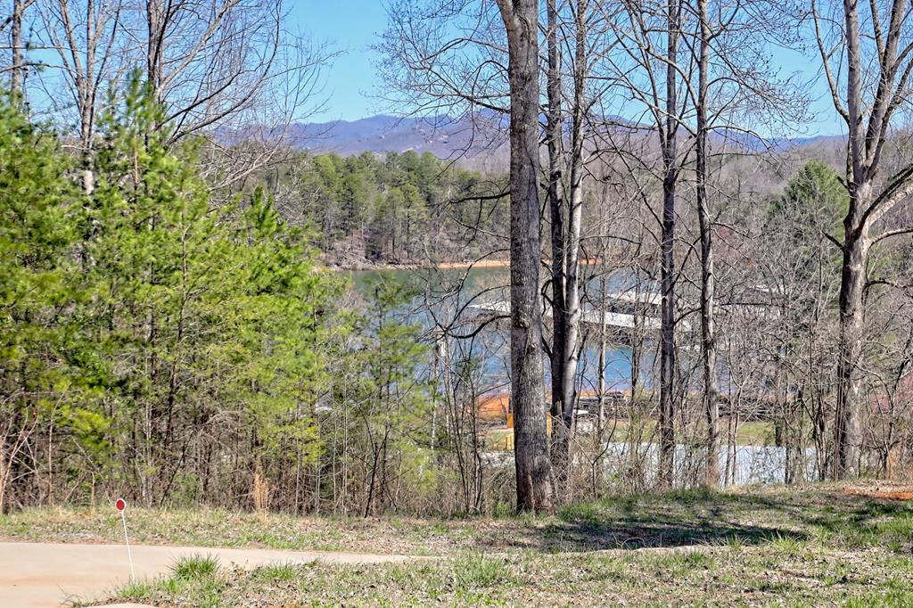 521 Sunnyside Road Property Photo 6