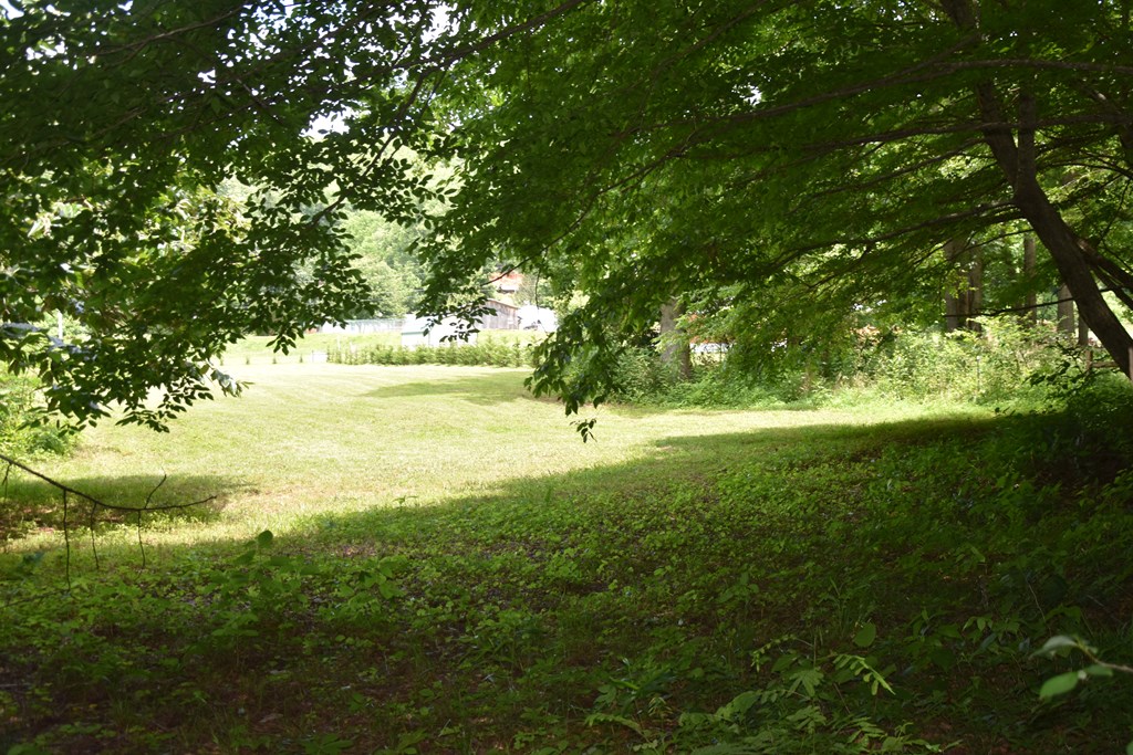 126 Bolo Lane Property Photo 13