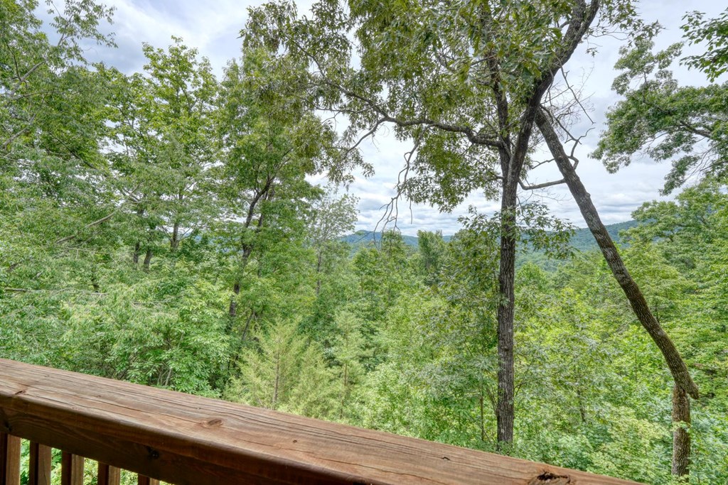 48 Pine Top Drive Property Photo 118