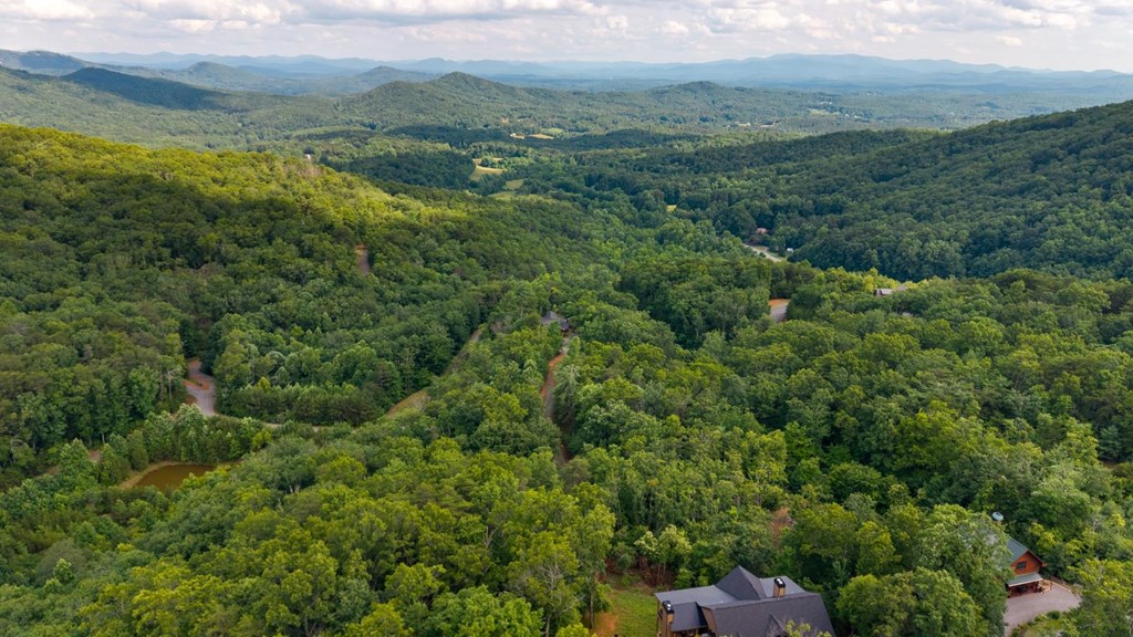 57 Gentle Ponds View Property Photo 6