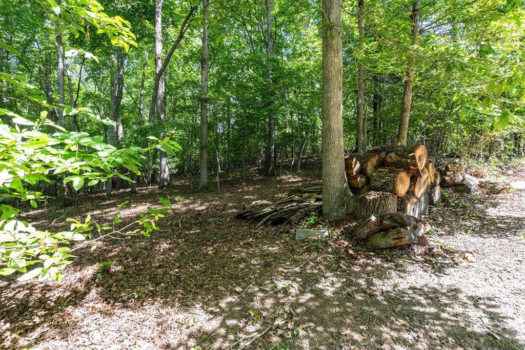 44 Red Wolf Trail Property Photo 36
