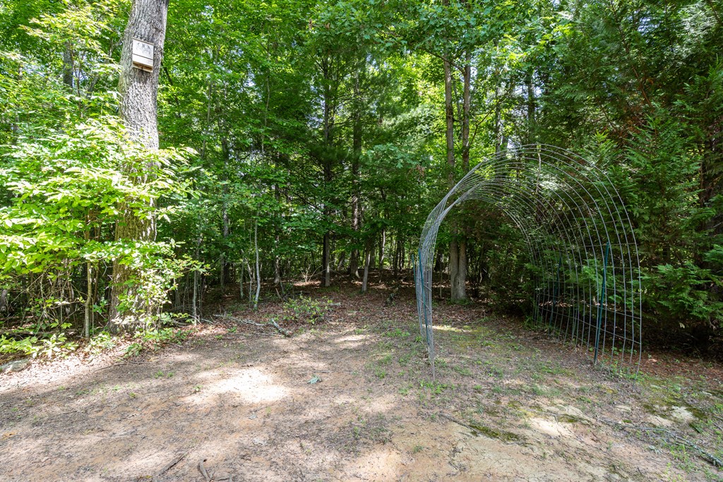 44 Red Wolf Trail Property Photo 37