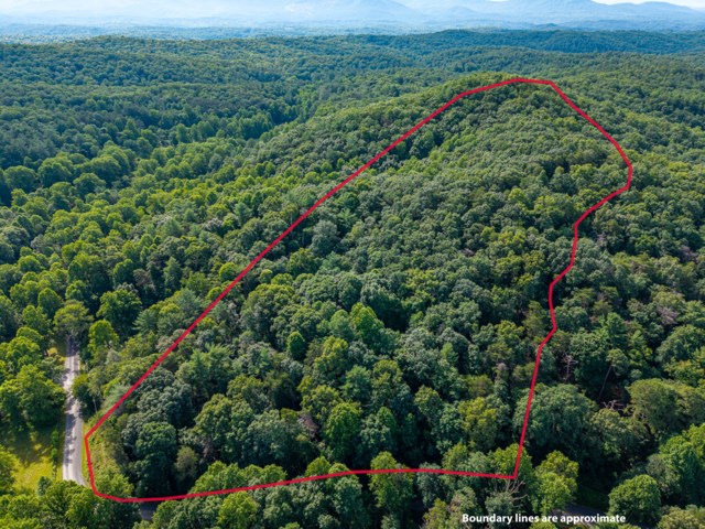 5198 Flat Branch Road Property Photo 2