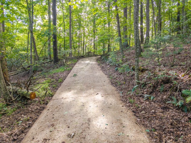 5198 Flat Branch Road Property Photo 3
