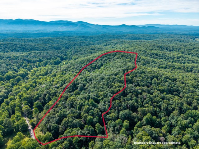 5198 Flat Branch Road Property Photo 5
