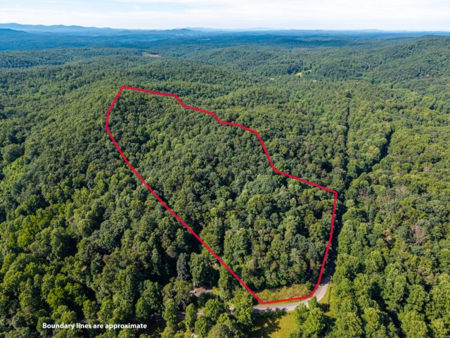 5198 Flat Branch Road Property Photo 7