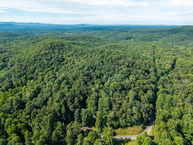 5198 Flat Branch Road Property Photo 8