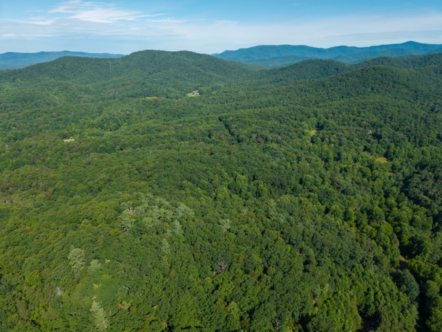 5198 Flat Branch Road Property Photo 9