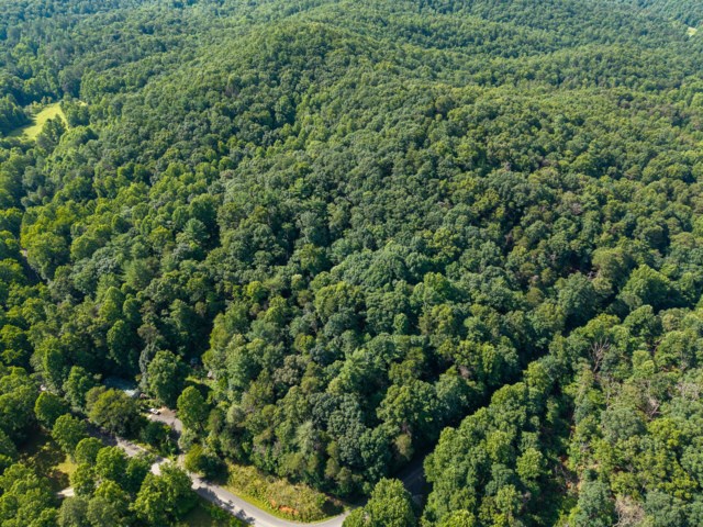 5198 Flat Branch Road Property Photo 11
