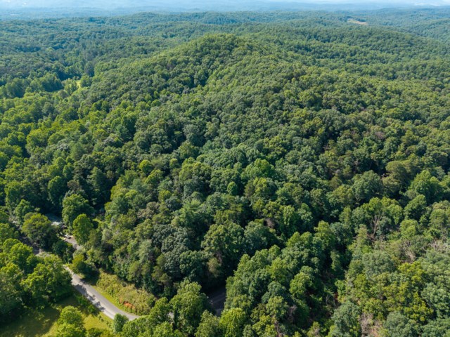 5198 Flat Branch Road Property Photo 12