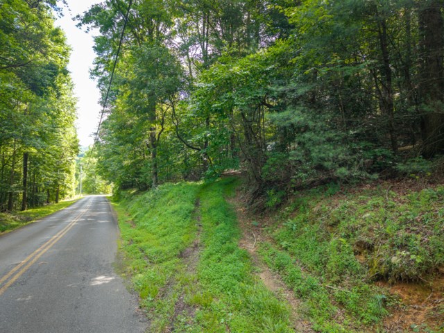 5198 Flat Branch Road Property Photo 16
