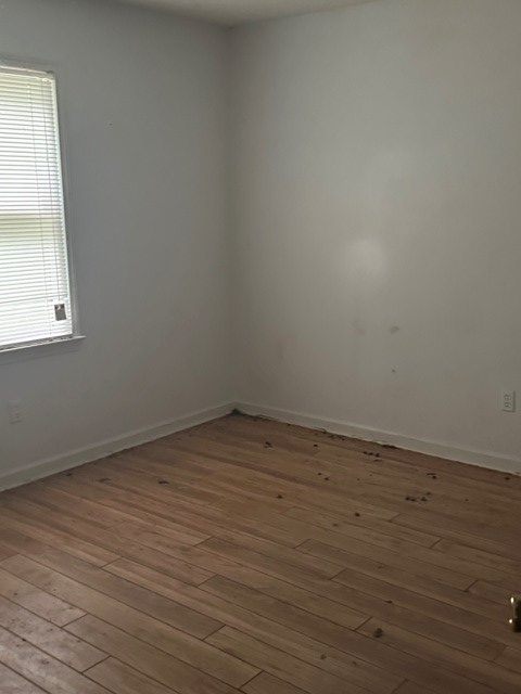 5198 Flat Branch Road Property Photo 20