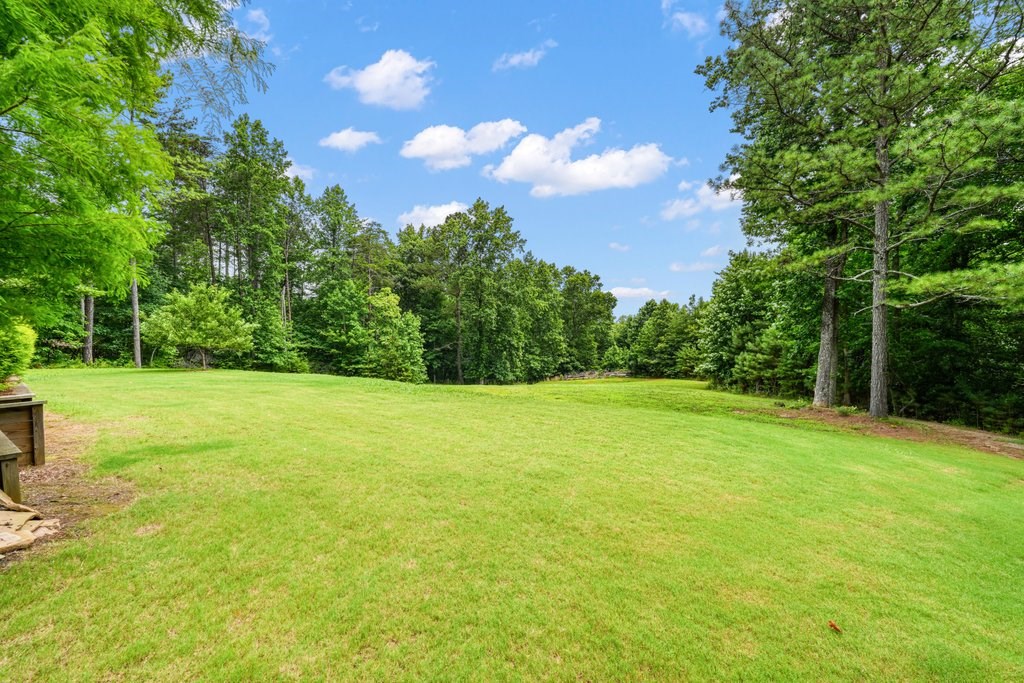 341 Blackberry Trail Property Photo 60
