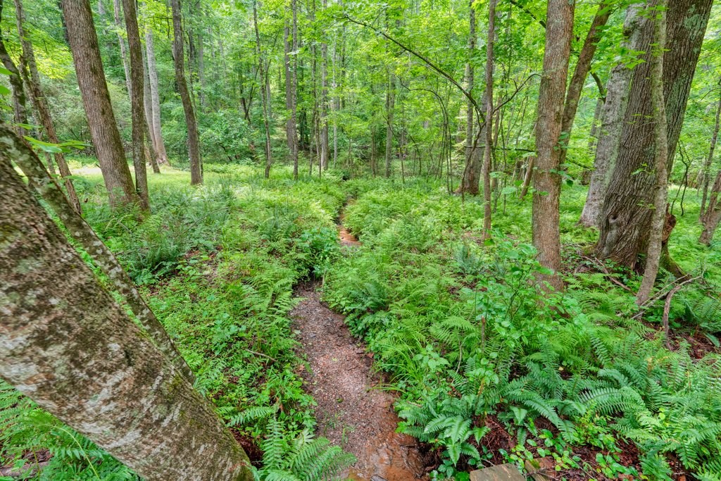 341 Blackberry Trail Property Photo 75
