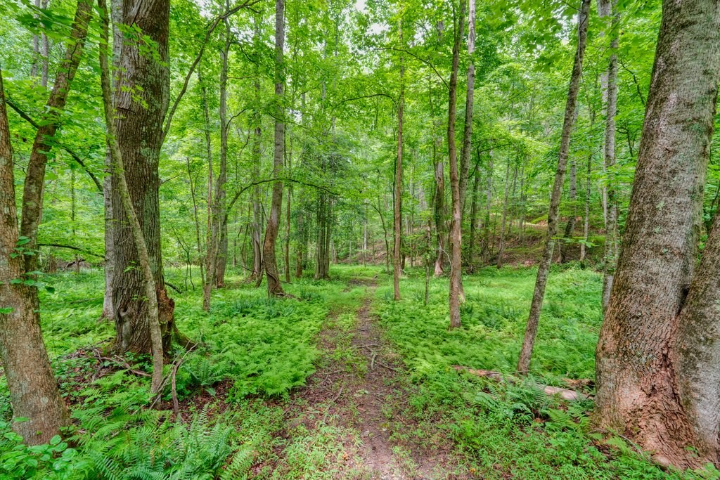 341 Blackberry Trail Property Photo 76