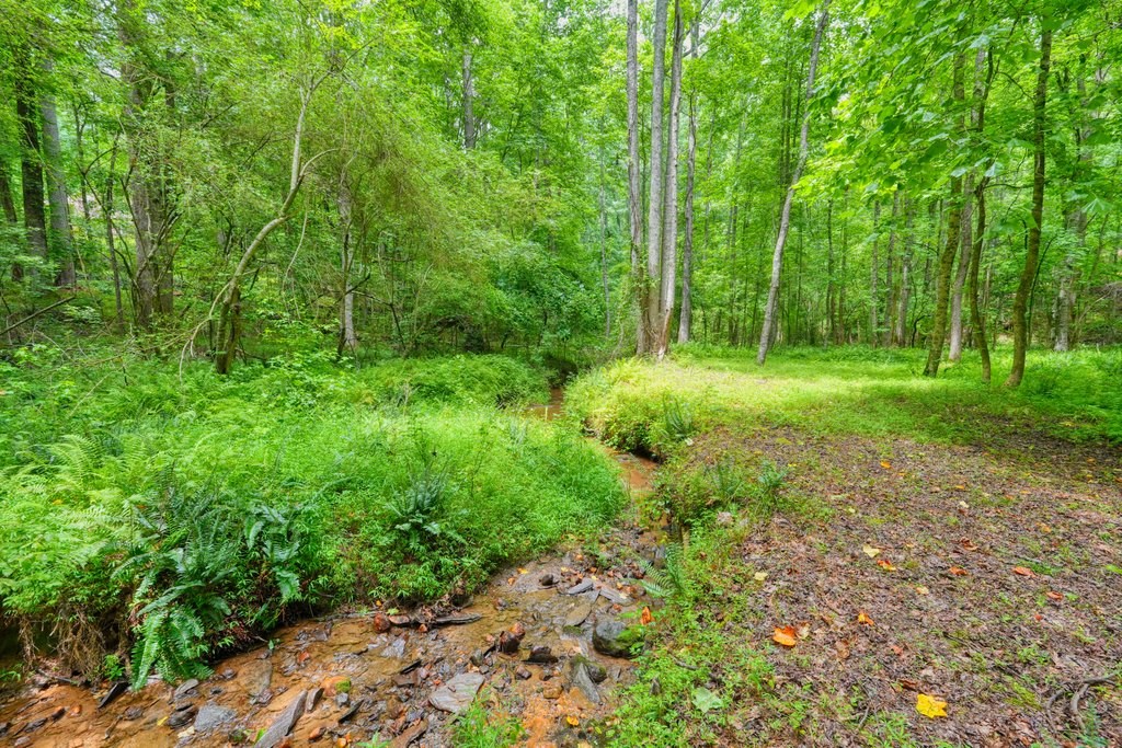 341 Blackberry Trail Property Photo 77