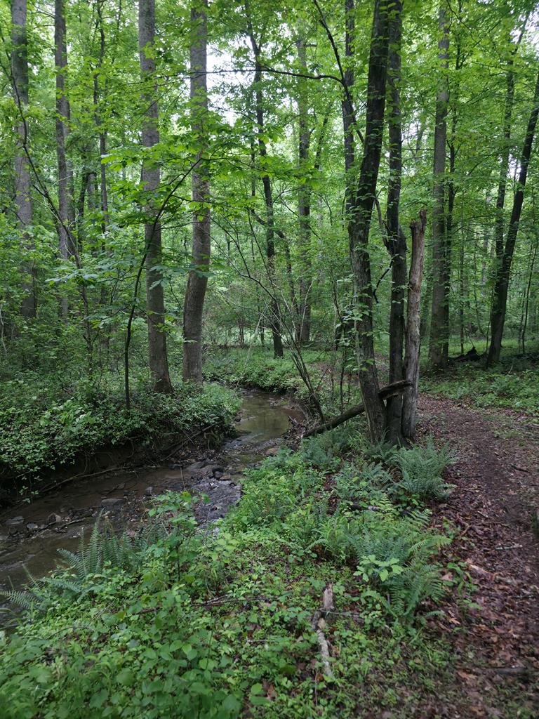 341 Blackberry Trail Property Photo 78