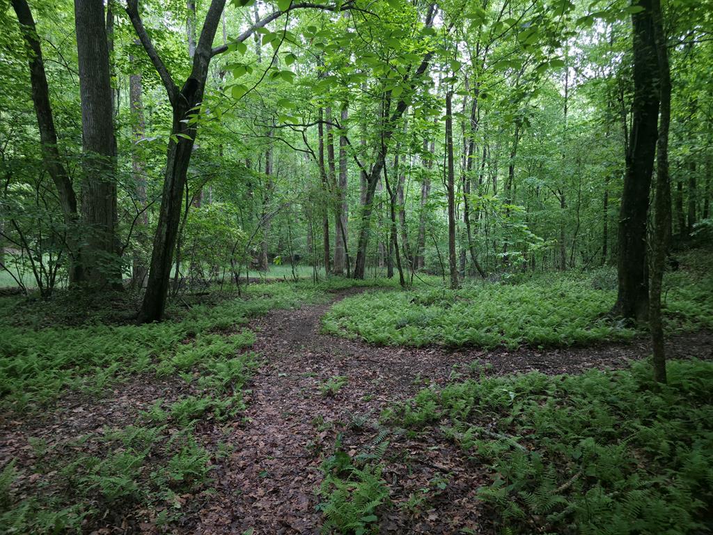 341 Blackberry Trail Property Photo 79