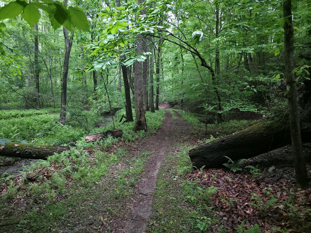 341 Blackberry Trail Property Photo 80
