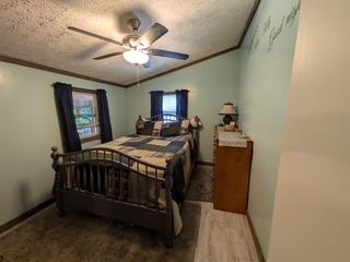 4354 Wildcat Lane Property Photo 20