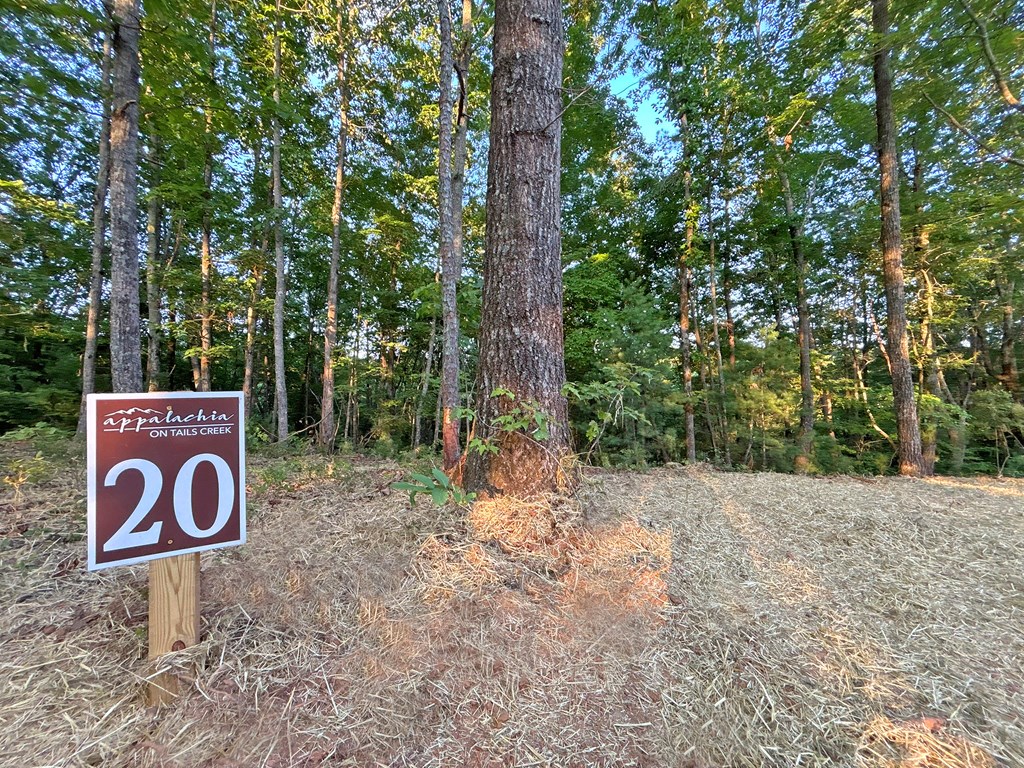 Lot 20 Mt. Springer Road Property Photo 2