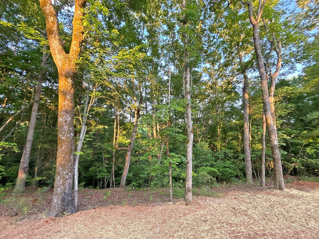 Lot 20 Mt. Springer Road Property Photo 9