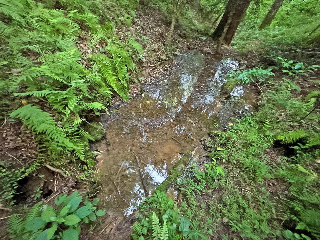 Lot 20 Mt. Springer Road Property Photo 13